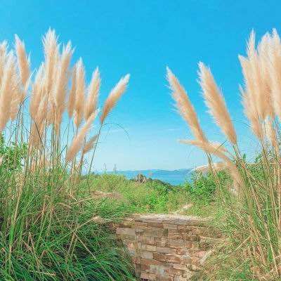 真人斗牛牛手机app下载