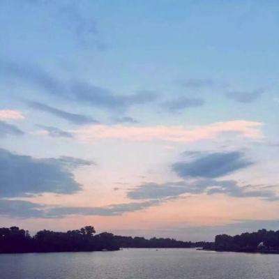 365平台官方版下载