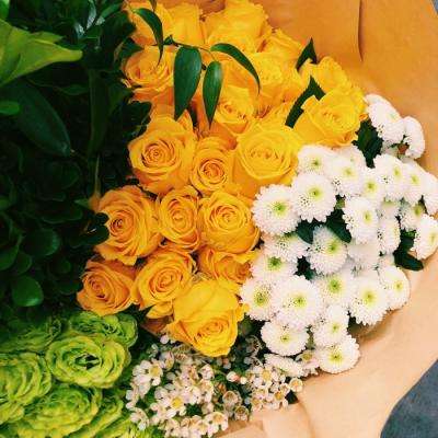 乐发lv彩票app下载安装