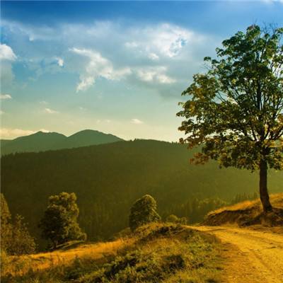 环球体育官网下载